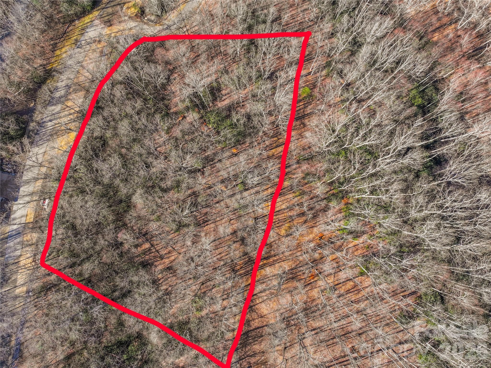 Approximate boundary lines - 1248 Arborcrest Way, Swannanoa