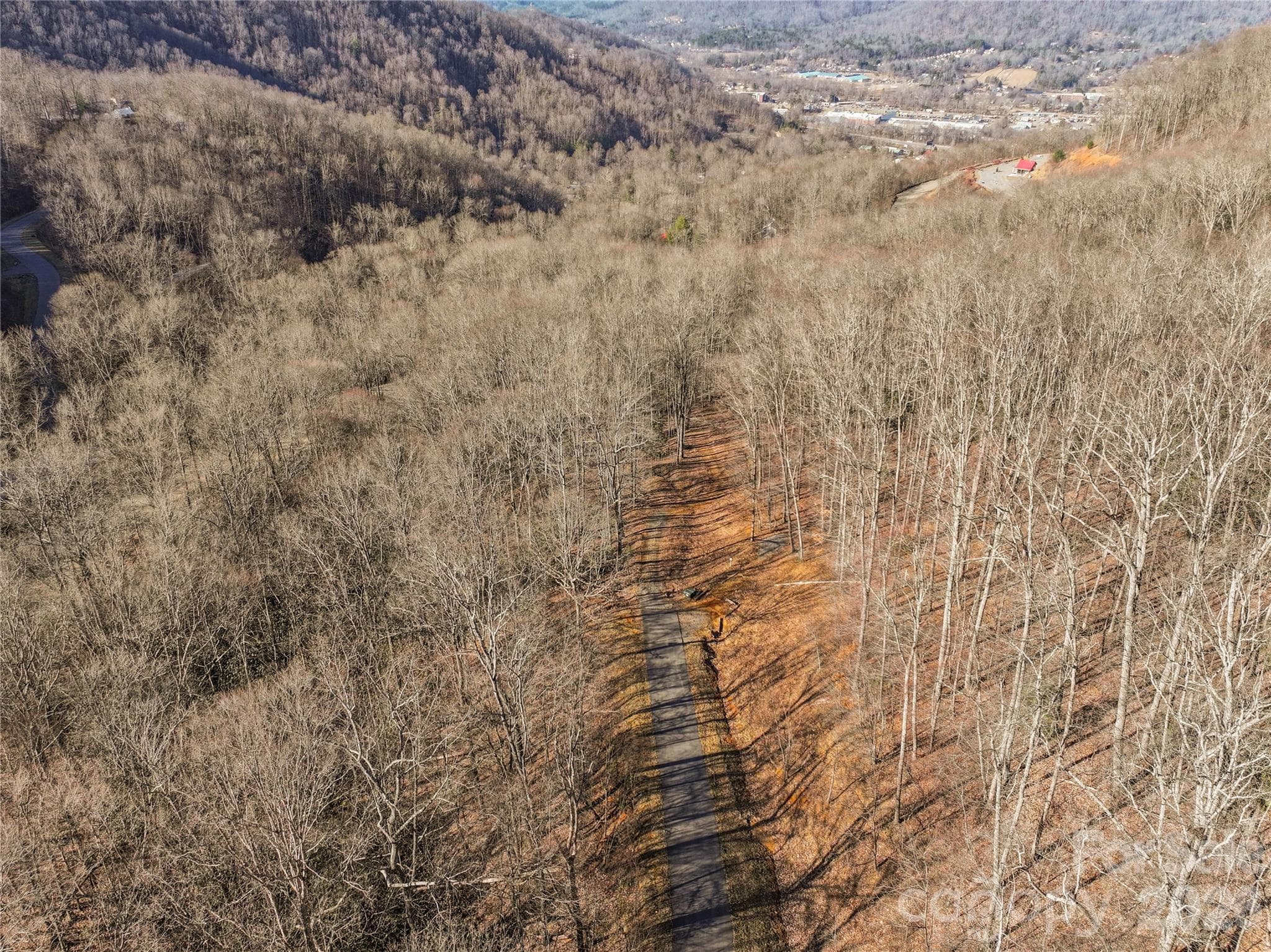 Paved access to the homesite - 1248 Arborcrest Way, Swannanoa