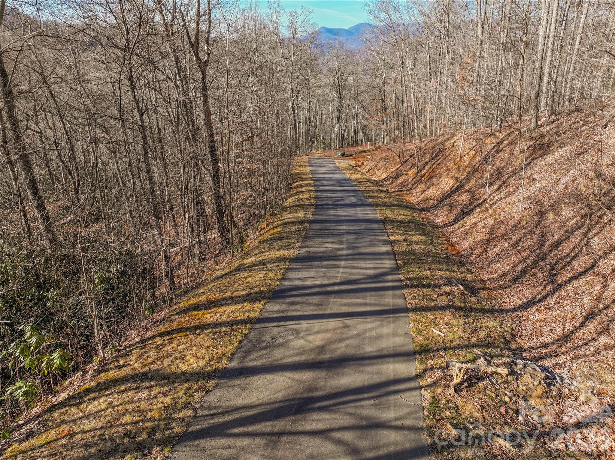 Lot at 1248 Arborcrest Way, Swannanoa, photo 10 of 17