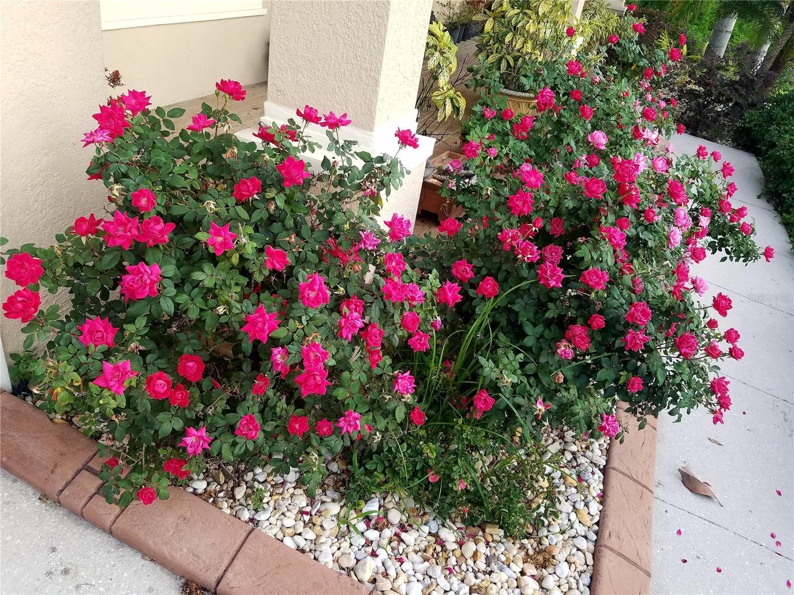 Single Family Residence at 10503 PALM COVE AVE, TAMPA, photo 54 of 94