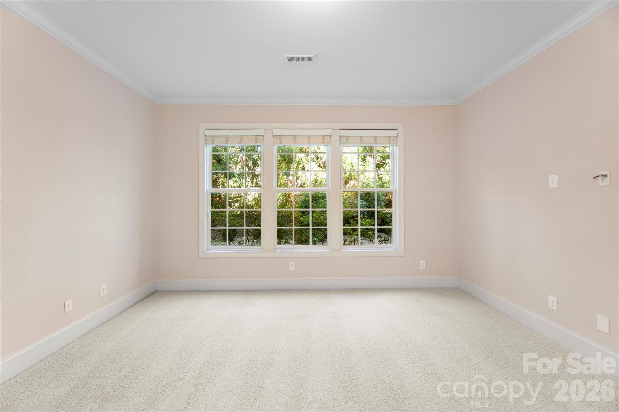 Basement Bedroom - Charlotte