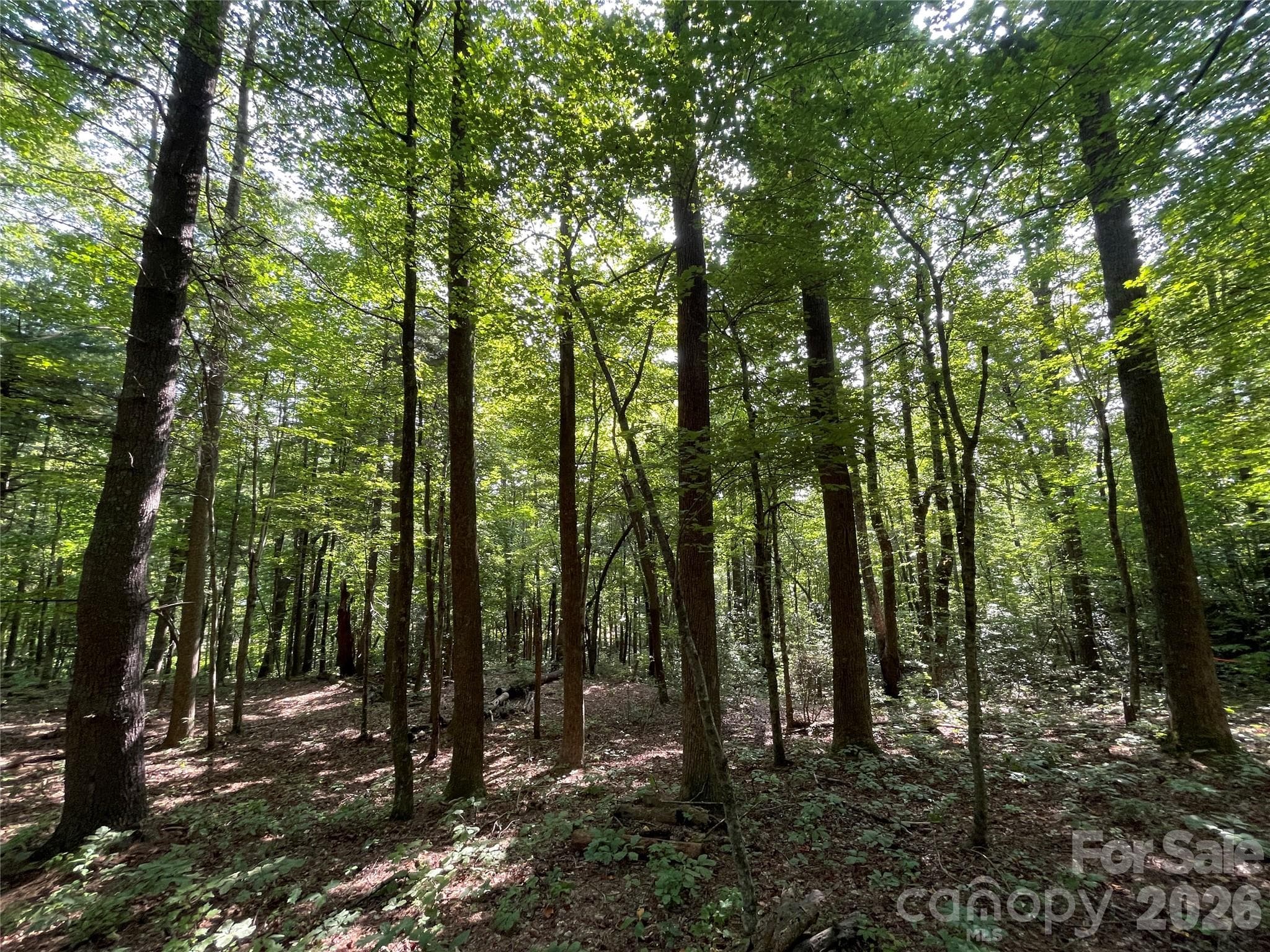 Lot at Lot 20 Haverhill Court, Flat Rock, photo 4 of 30