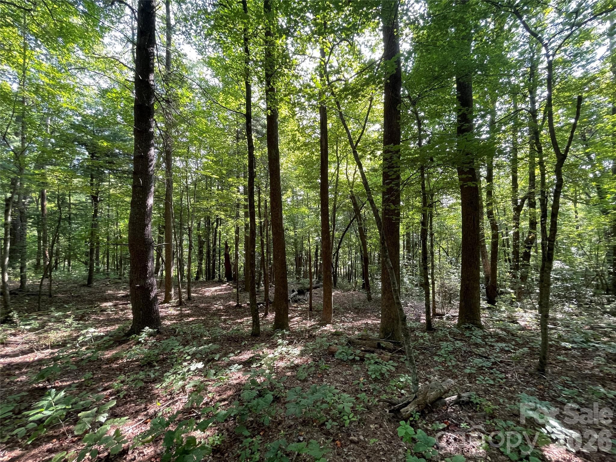 Lot at Lot 20 Haverhill Court, Flat Rock, photo 5 of 30