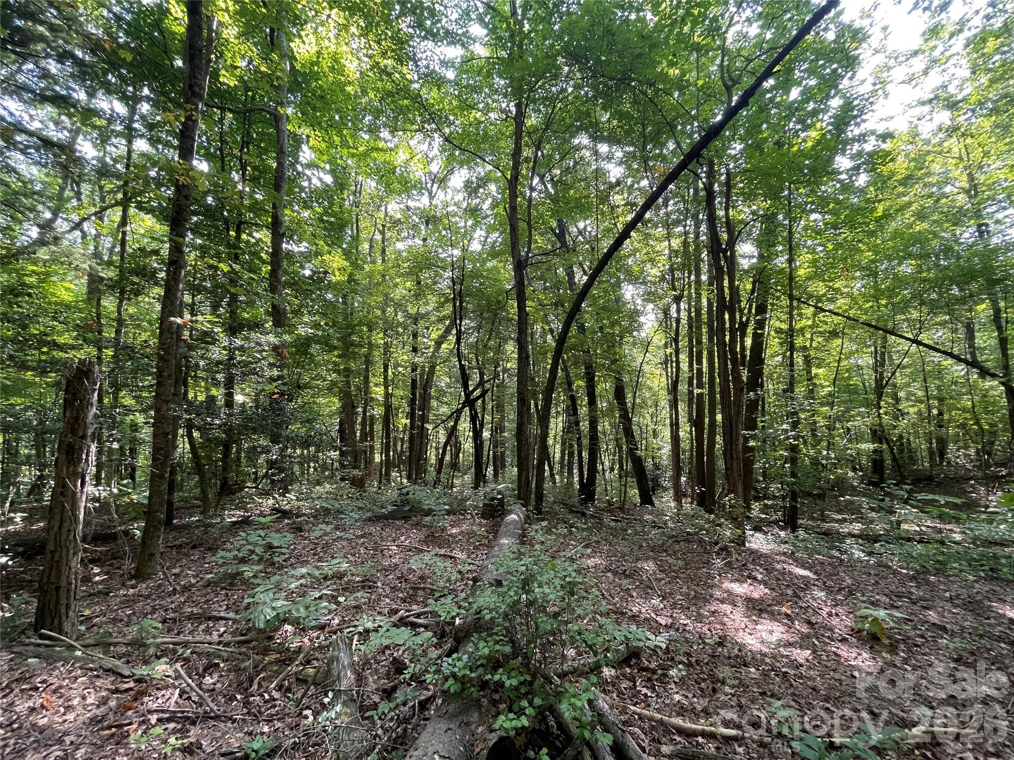 Lot at Lot 20 Haverhill Court, Flat Rock, photo 10 of 30
