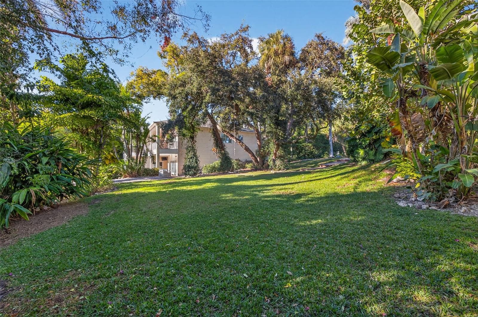 Yard - 1581 ALEXANDER RD, BELLEAIR