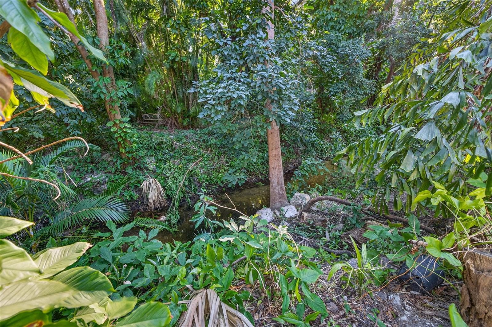 Creek - 1581 ALEXANDER RD, BELLEAIR