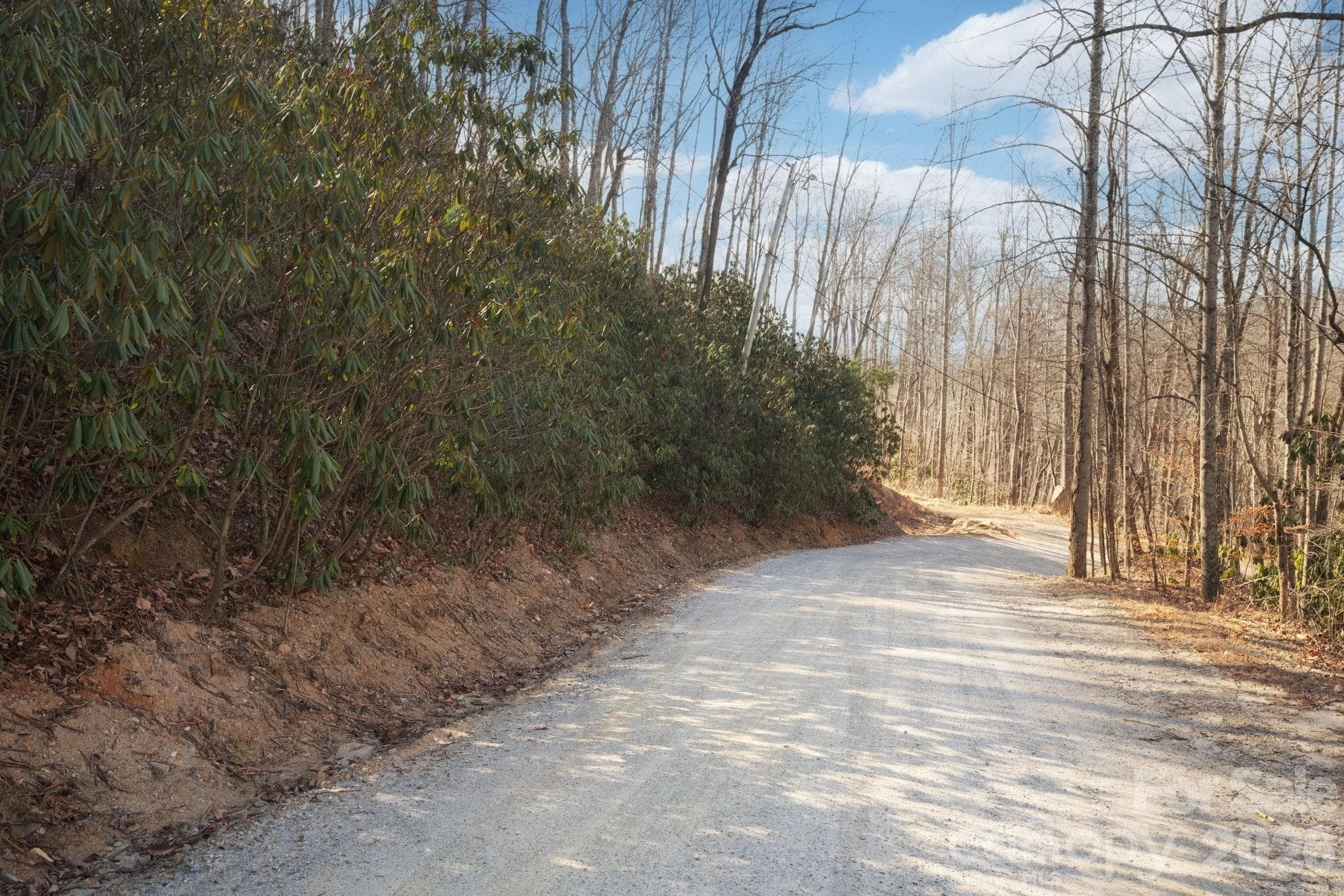 Lot at 000 Bee Tree Road, Swannanoa, photo 2 of 20