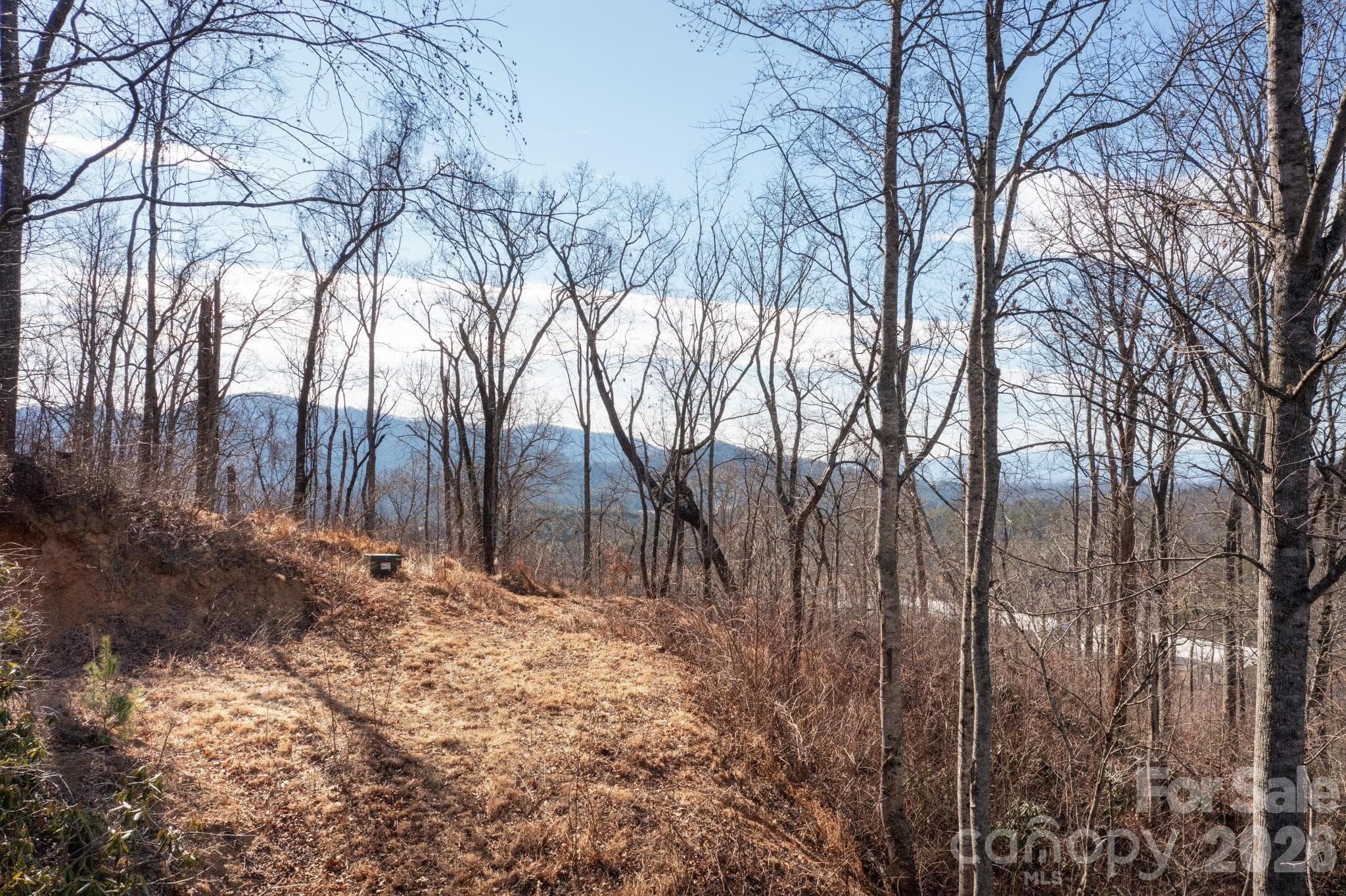 Lot at 000 Bee Tree Road, Swannanoa, photo 5 of 20