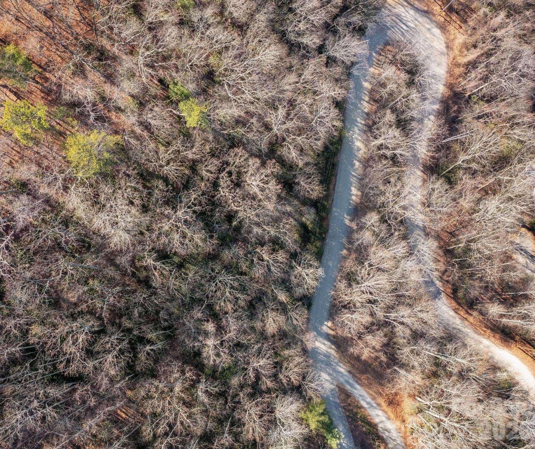 Lot at 000 Bee Tree Road, Swannanoa, photo 8 of 20