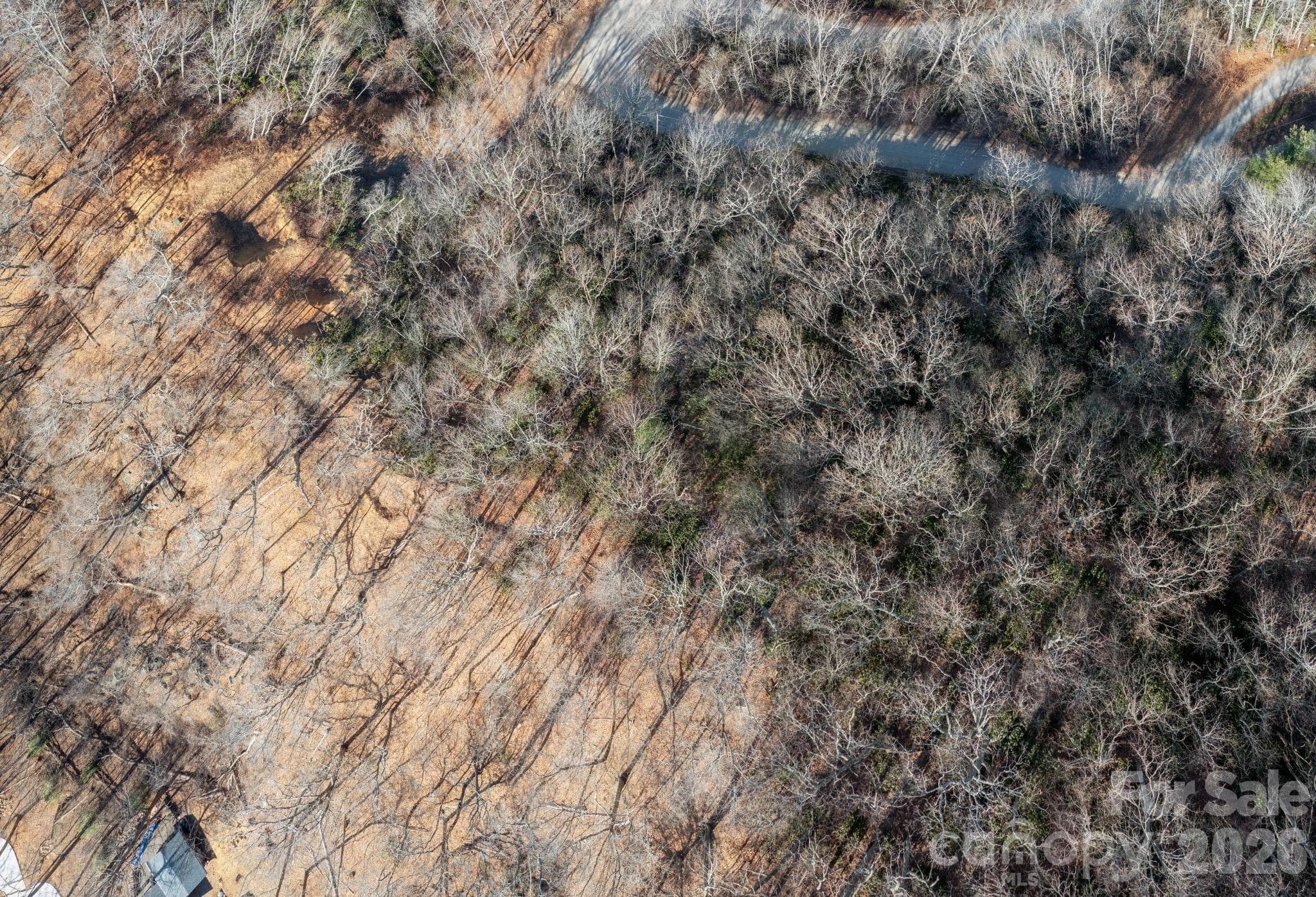 Lot at 000 Bee Tree Road, Swannanoa, photo 9 of 20