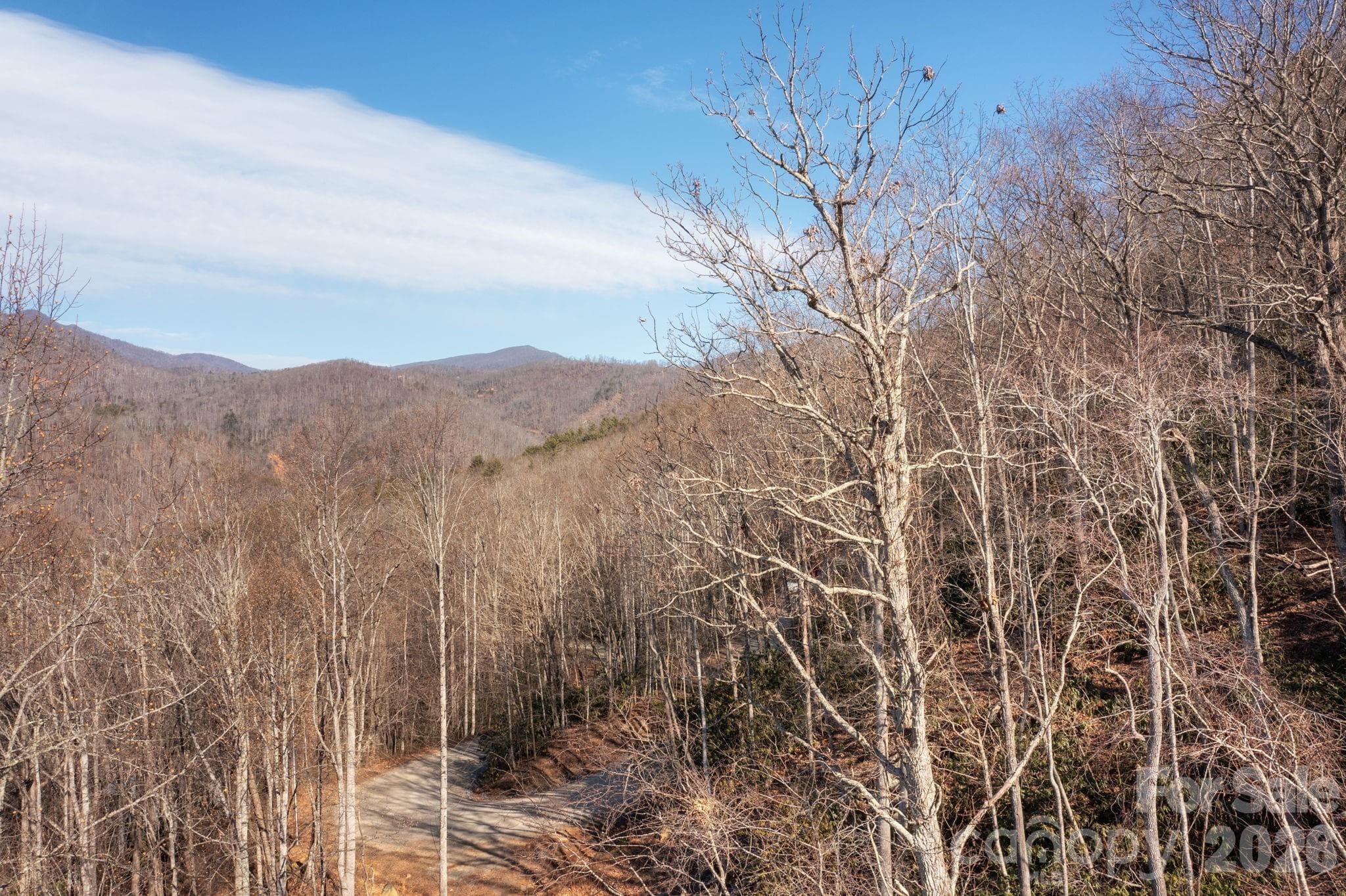 Lot at 000 Bee Tree Road, Swannanoa, photo 14 of 20