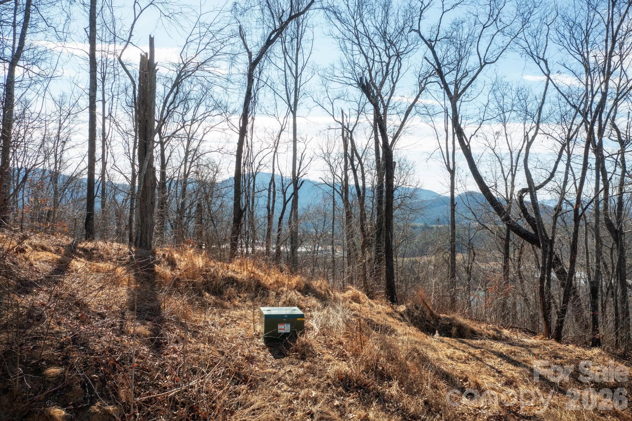 Lot at 000 Bee Tree Road, Swannanoa, photo 15 of 20