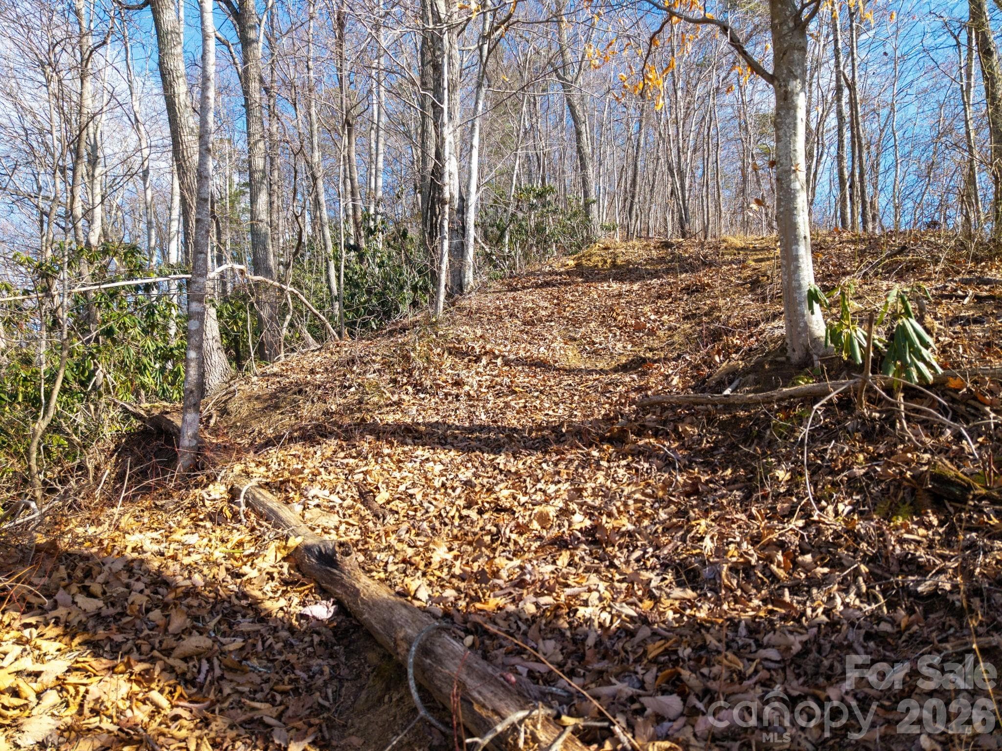 Lot at 000 Bee Tree Road, Swannanoa, photo 16 of 20