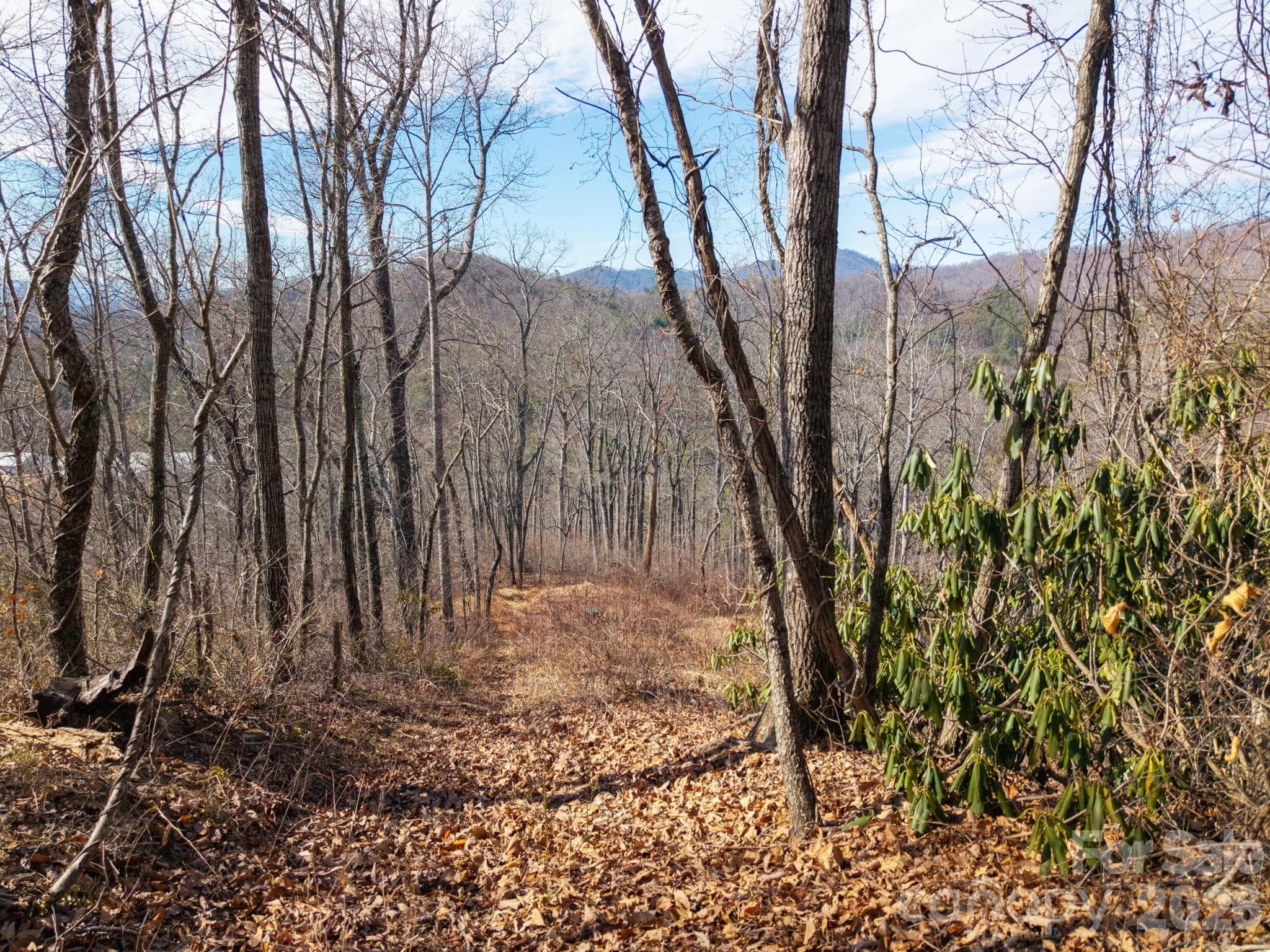 Lot at 000 Bee Tree Road, Swannanoa, photo 17 of 20