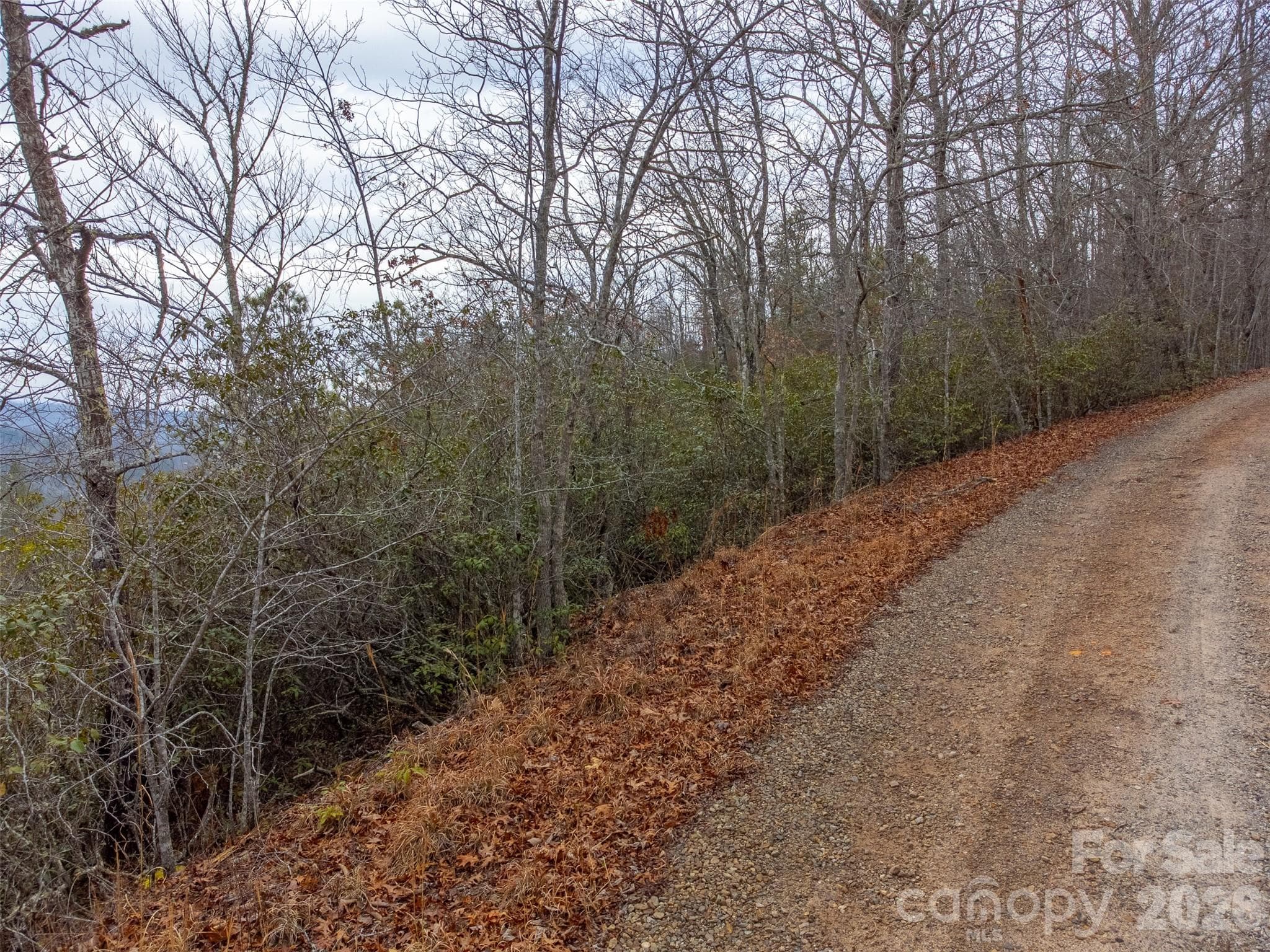 Lot at 9999 Lower Burningtown Road, Franklin, photo 2 of 26