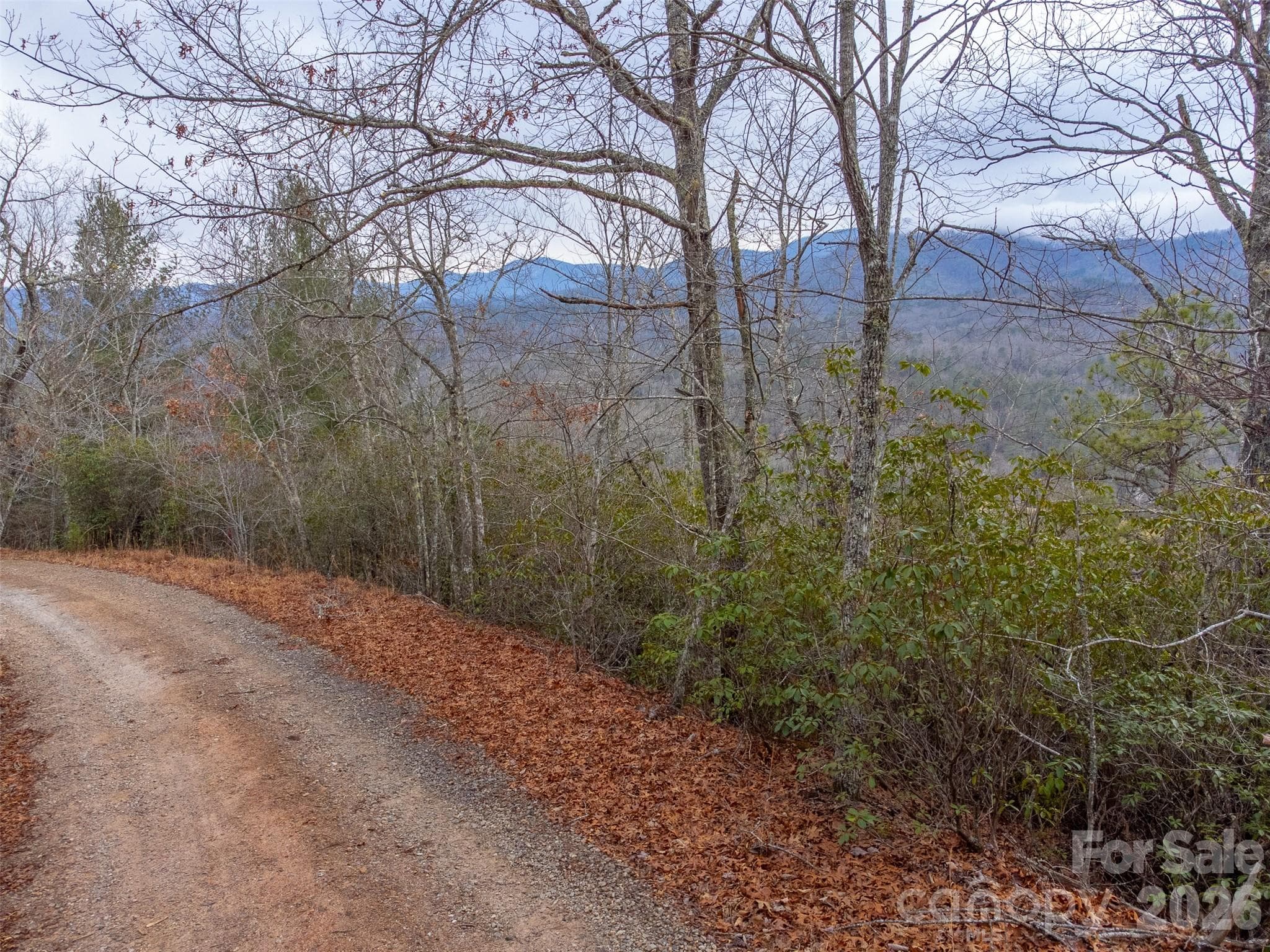 Lot at 9999 Lower Burningtown Road, Franklin, photo 3 of 26