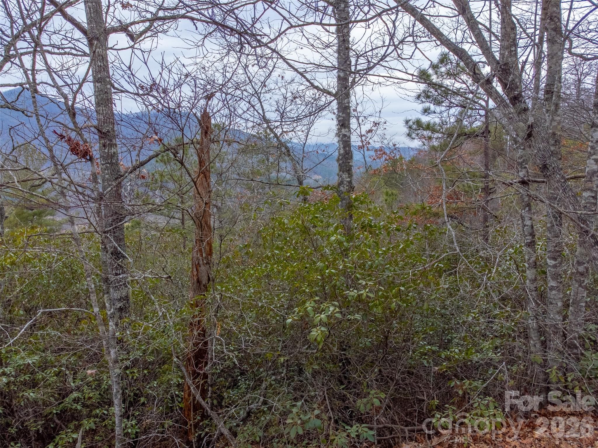 Lot at 9999 Lower Burningtown Road, Franklin, photo 4 of 26