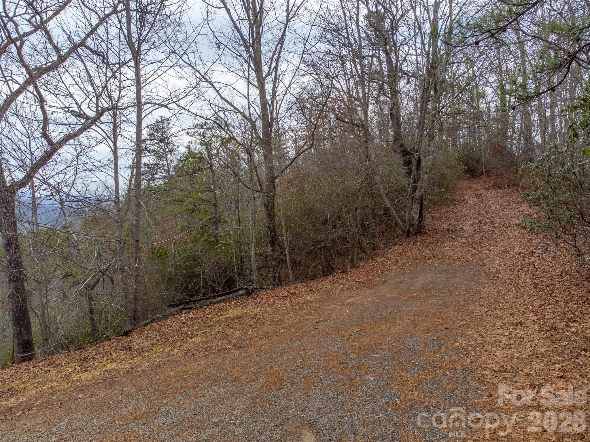 Lot at 9999 Lower Burningtown Road, Franklin, photo 7 of 26