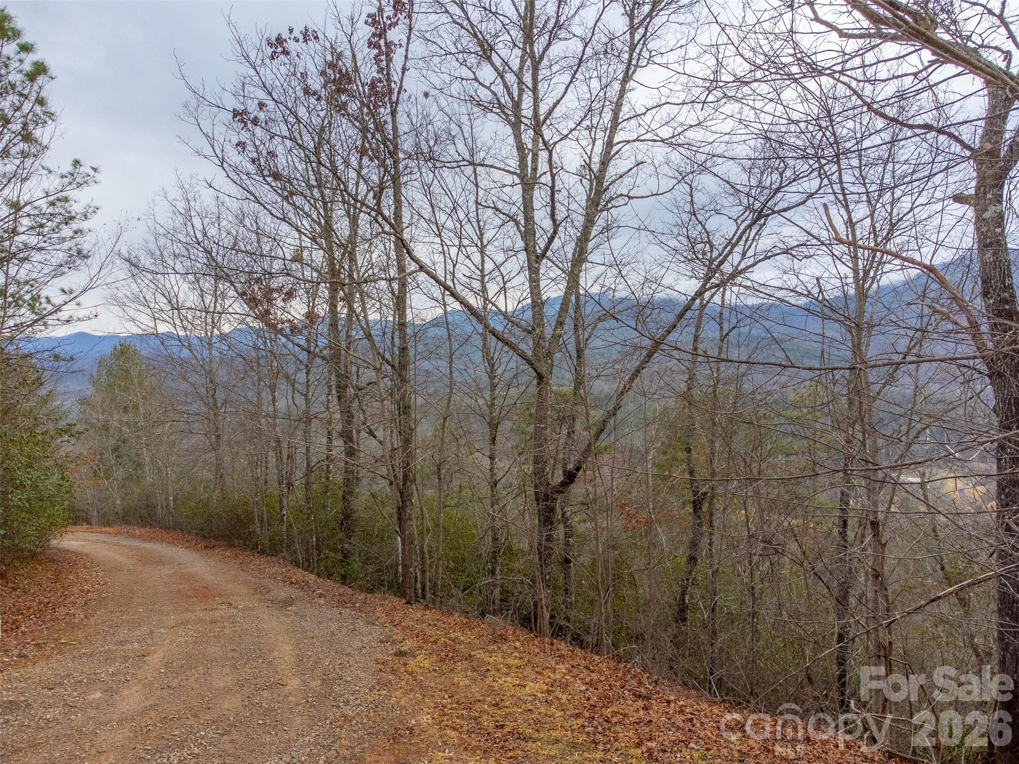 Lot at 9999 Lower Burningtown Road, Franklin, photo 8 of 26