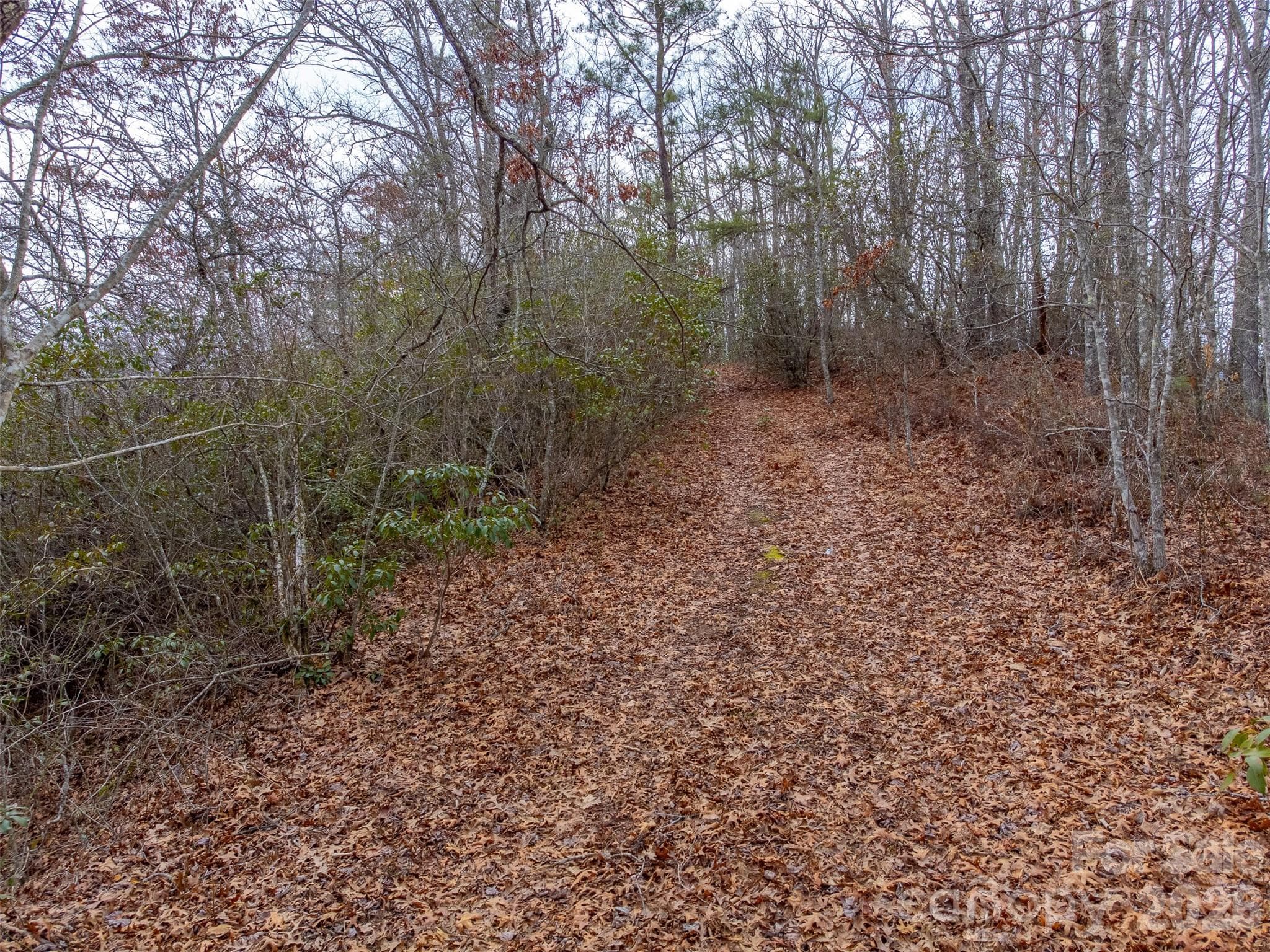Lot at 9999 Lower Burningtown Road, Franklin, photo 9 of 26