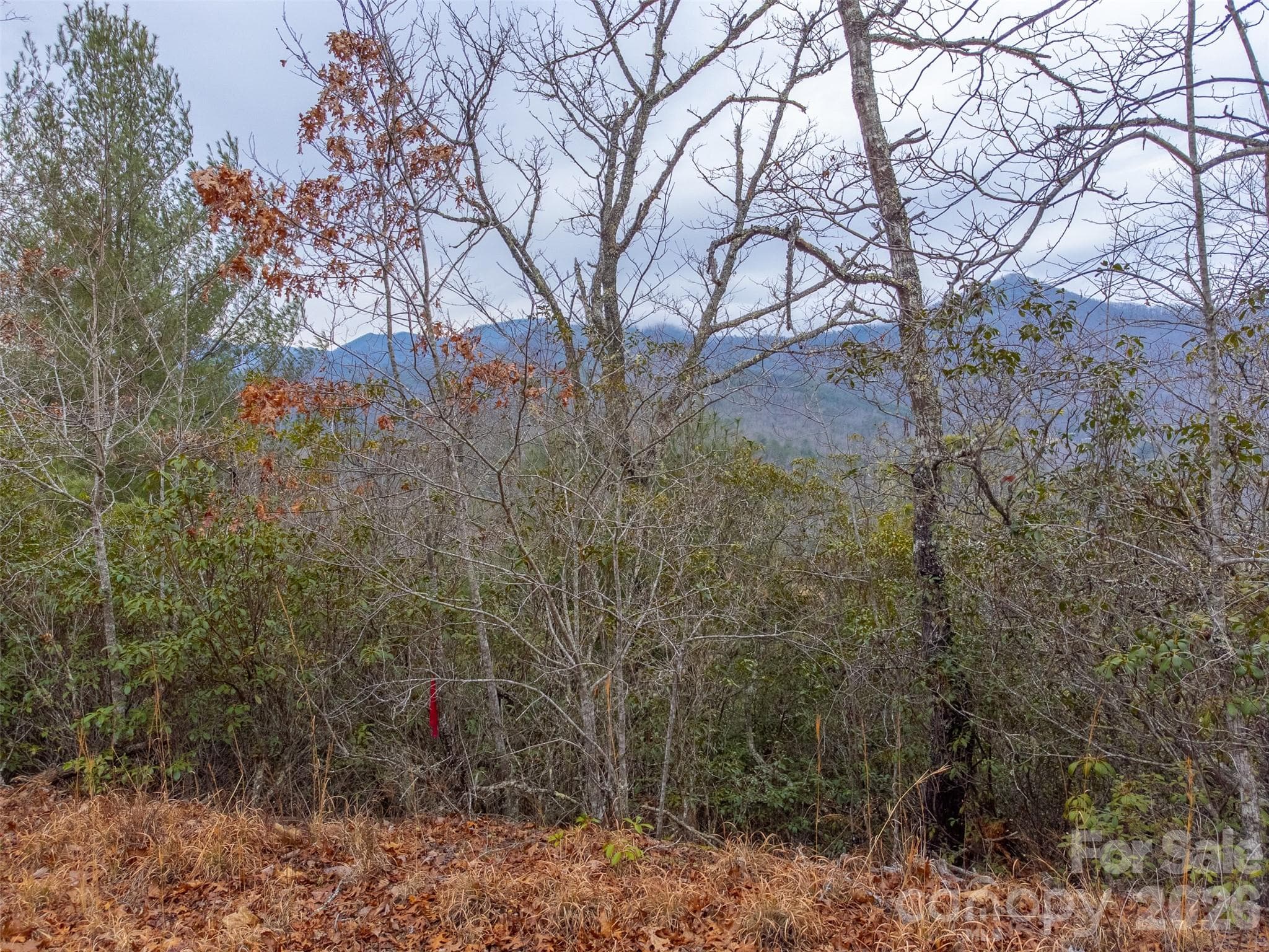 Lot at 9999 Lower Burningtown Road, Franklin, photo 25 of 26