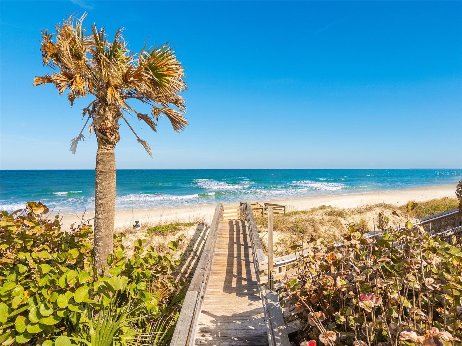 Beach Access - 4606 OAK HAMMOCK CT #4606, PONCE INLET