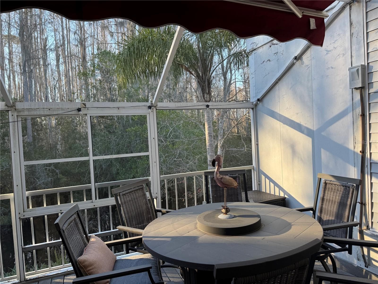 Rear Deck with Sunsetter - 2111 VISTA DEL SOL CIR #403, LUTZ
