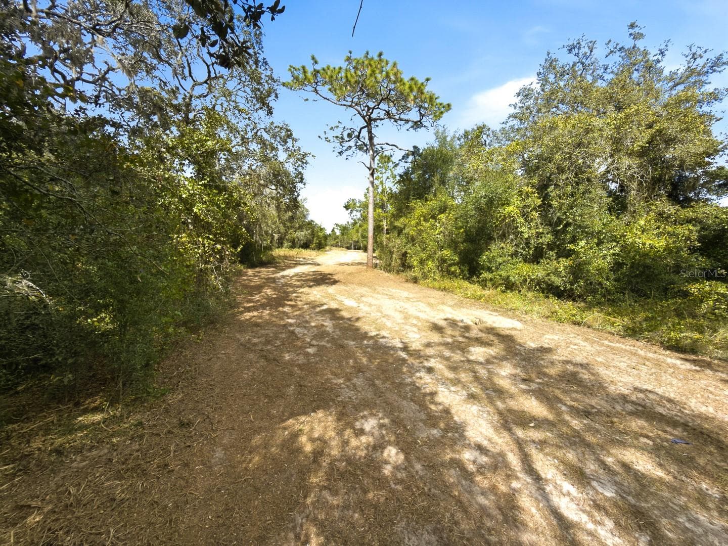 Land at 34095 HYATT RD, DADE CITY, photo 40 of 45