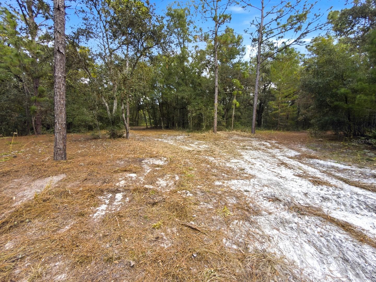 Land at 34095 HYATT RD, DADE CITY, photo 43 of 45