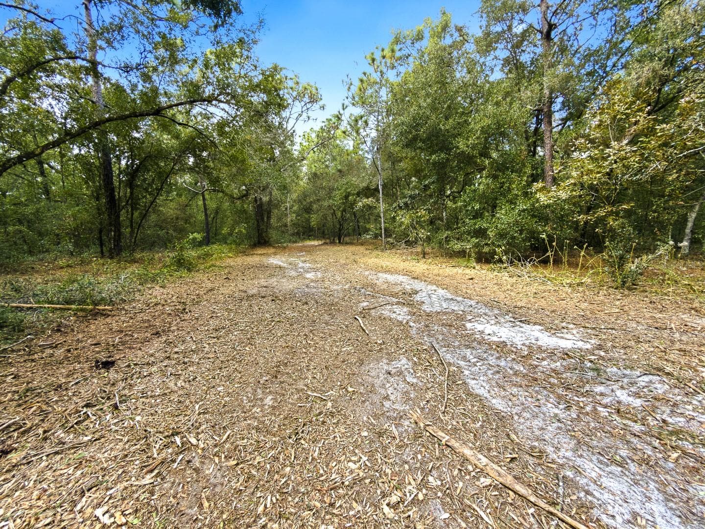 Land at 34095 HYATT RD, DADE CITY, photo 44 of 45