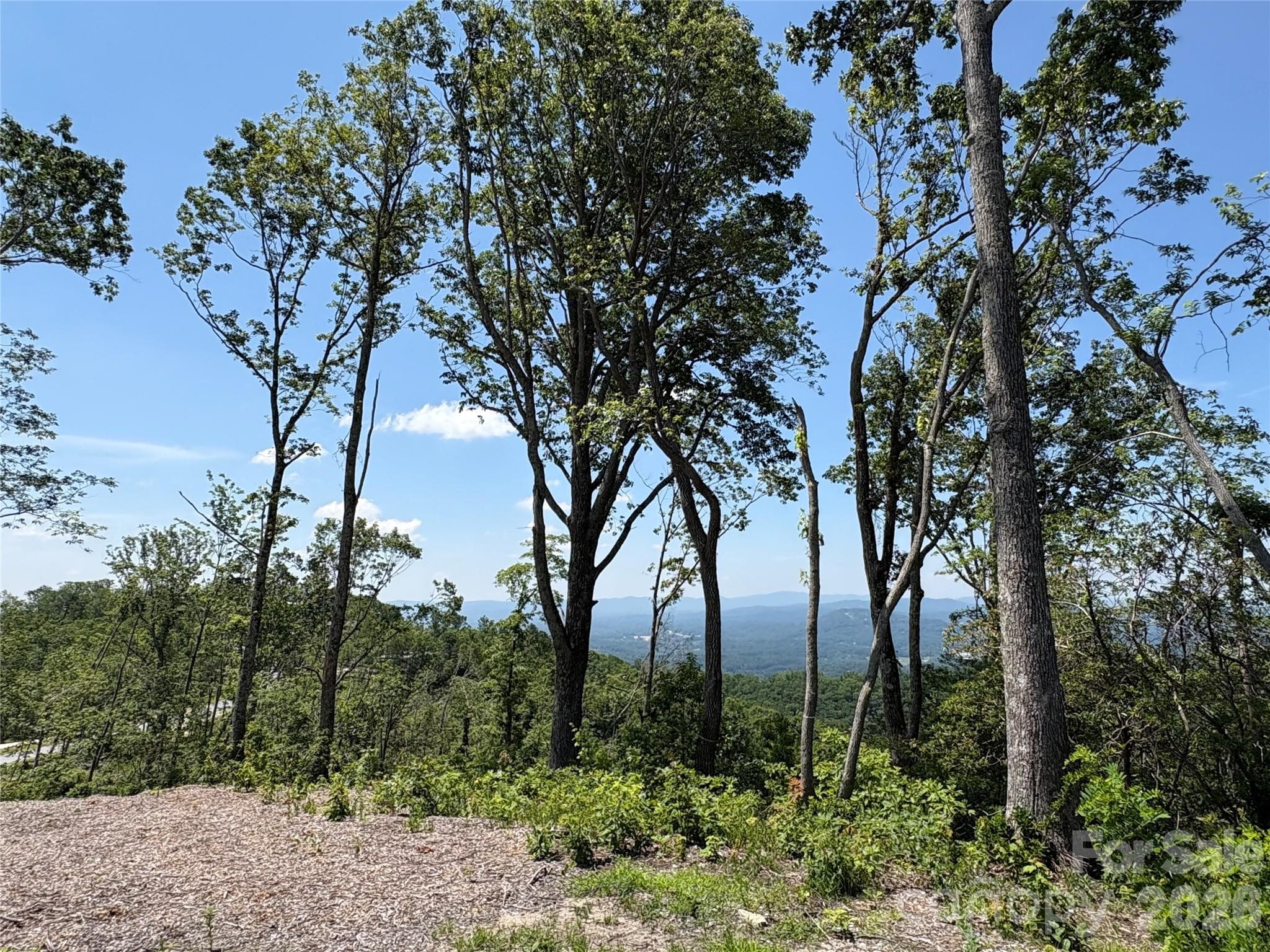 Southeast view - Fletcher