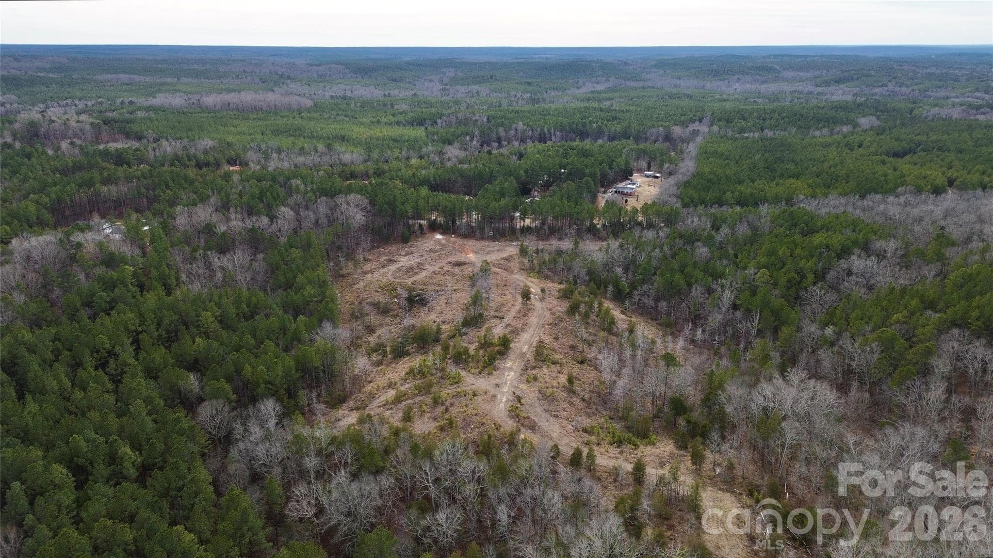 Acreage at Chester, photo 4 of 8