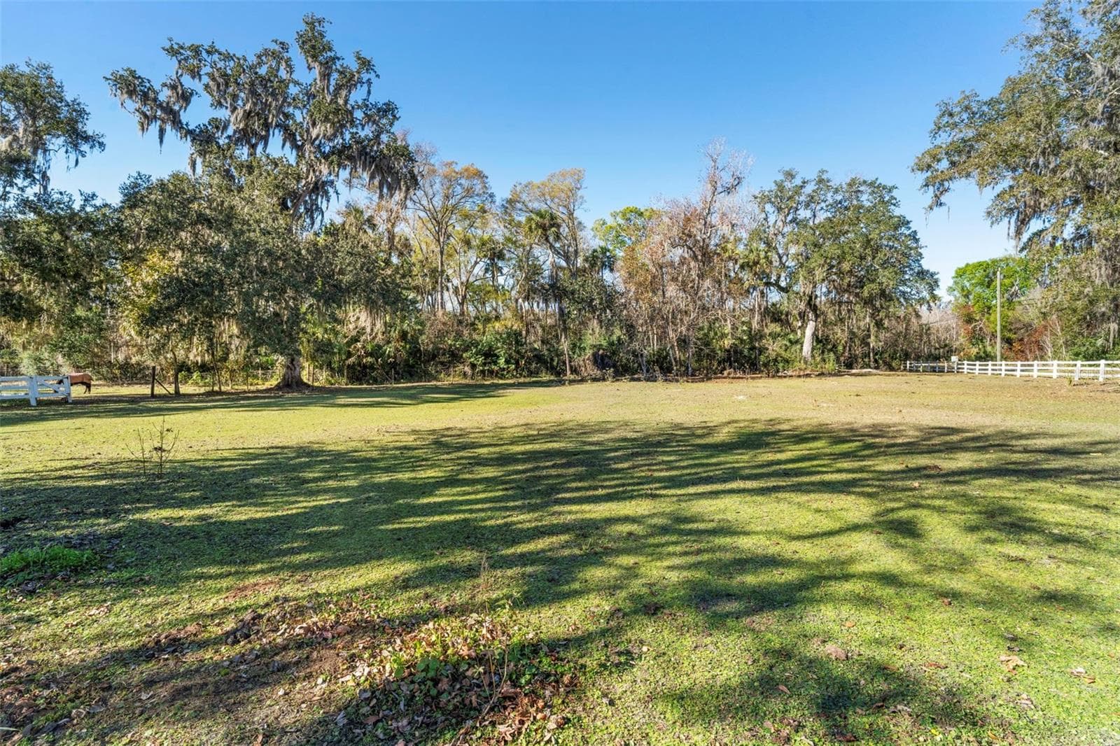 Single Family Residence at 3080 RAGIS RD, EDGEWATER, photo 11 of 86