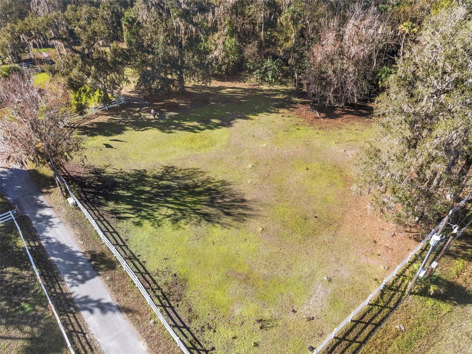 Fenced in yard for farm animals - 3080 RAGIS RD, EDGEWATER