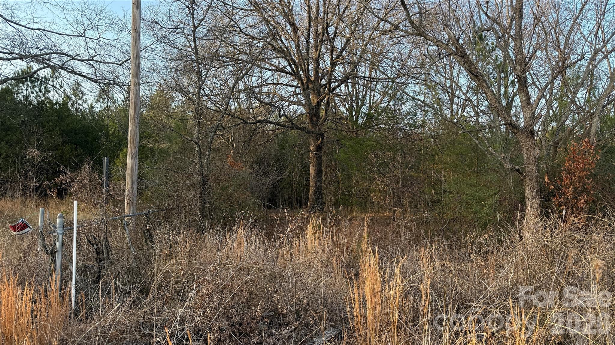 Lot at 0 Margrace Road, Kings Mountain, photo 3 of 6