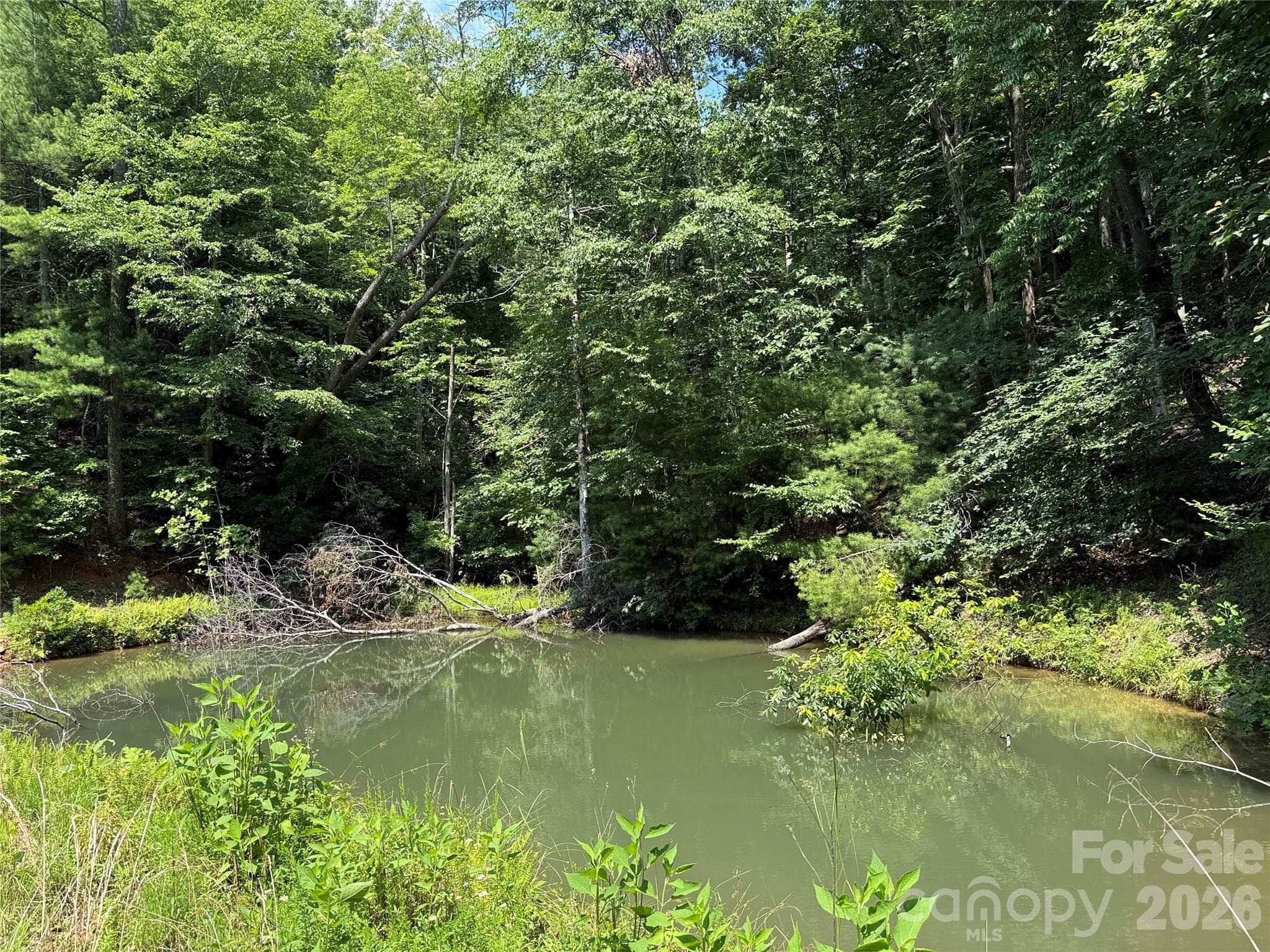 Spring-Fed Pond on property - TBD Staghorn Road, Purlear