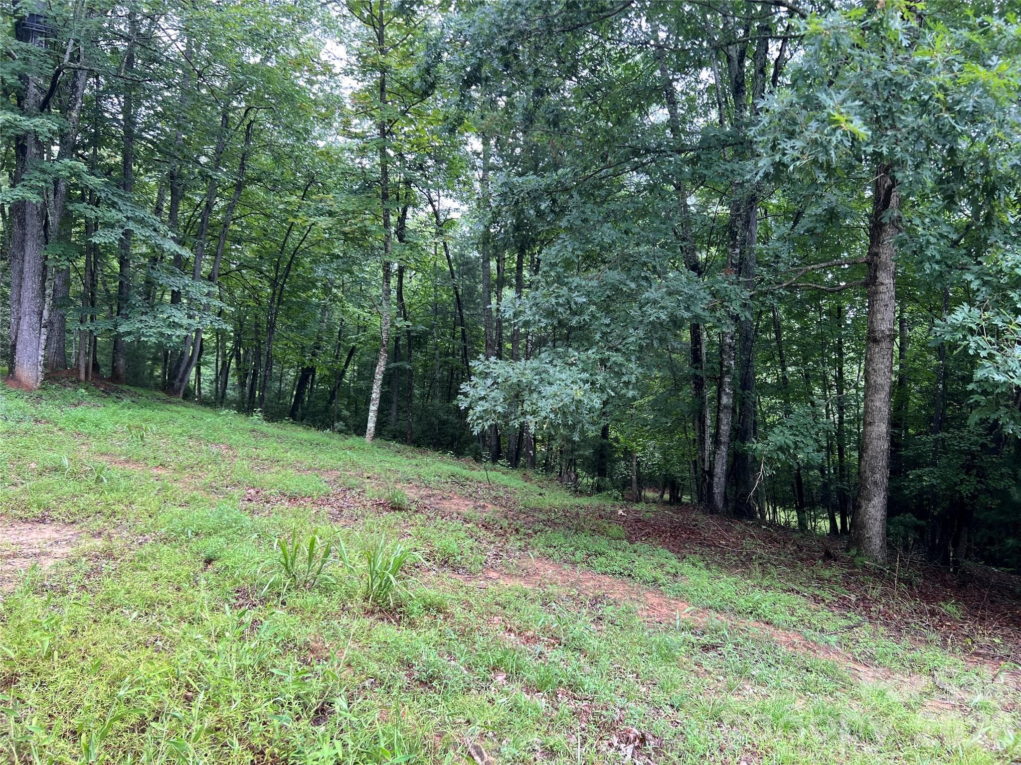 One of many potential building sites - TBD Staghorn Road, Purlear