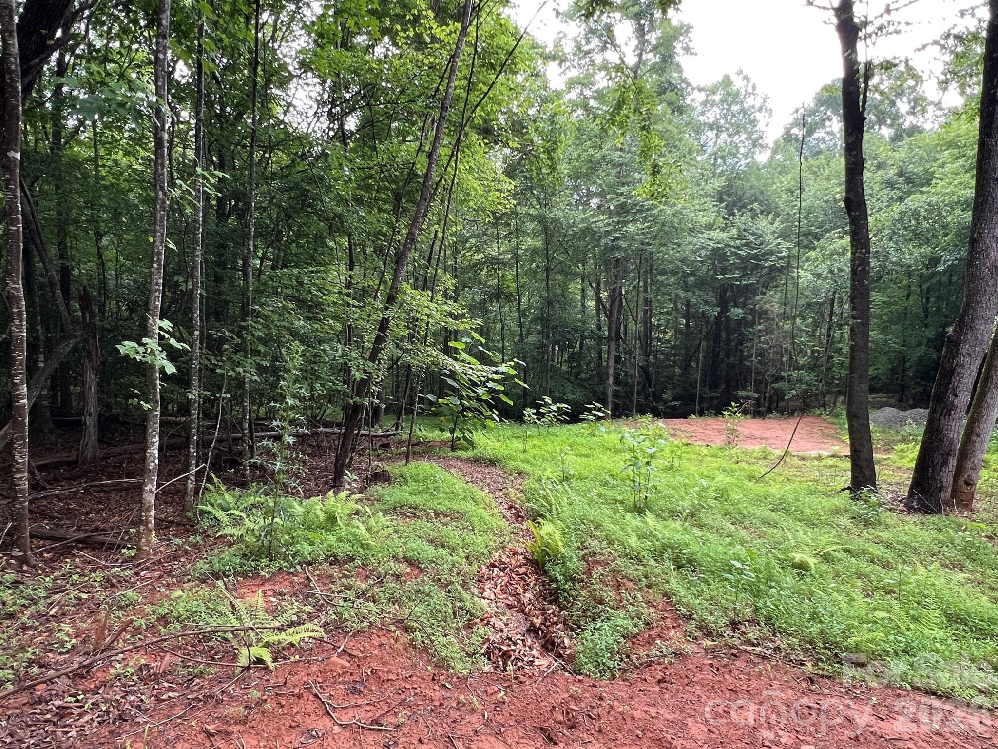 One of many potential building sites - TBD Staghorn Road, Purlear
