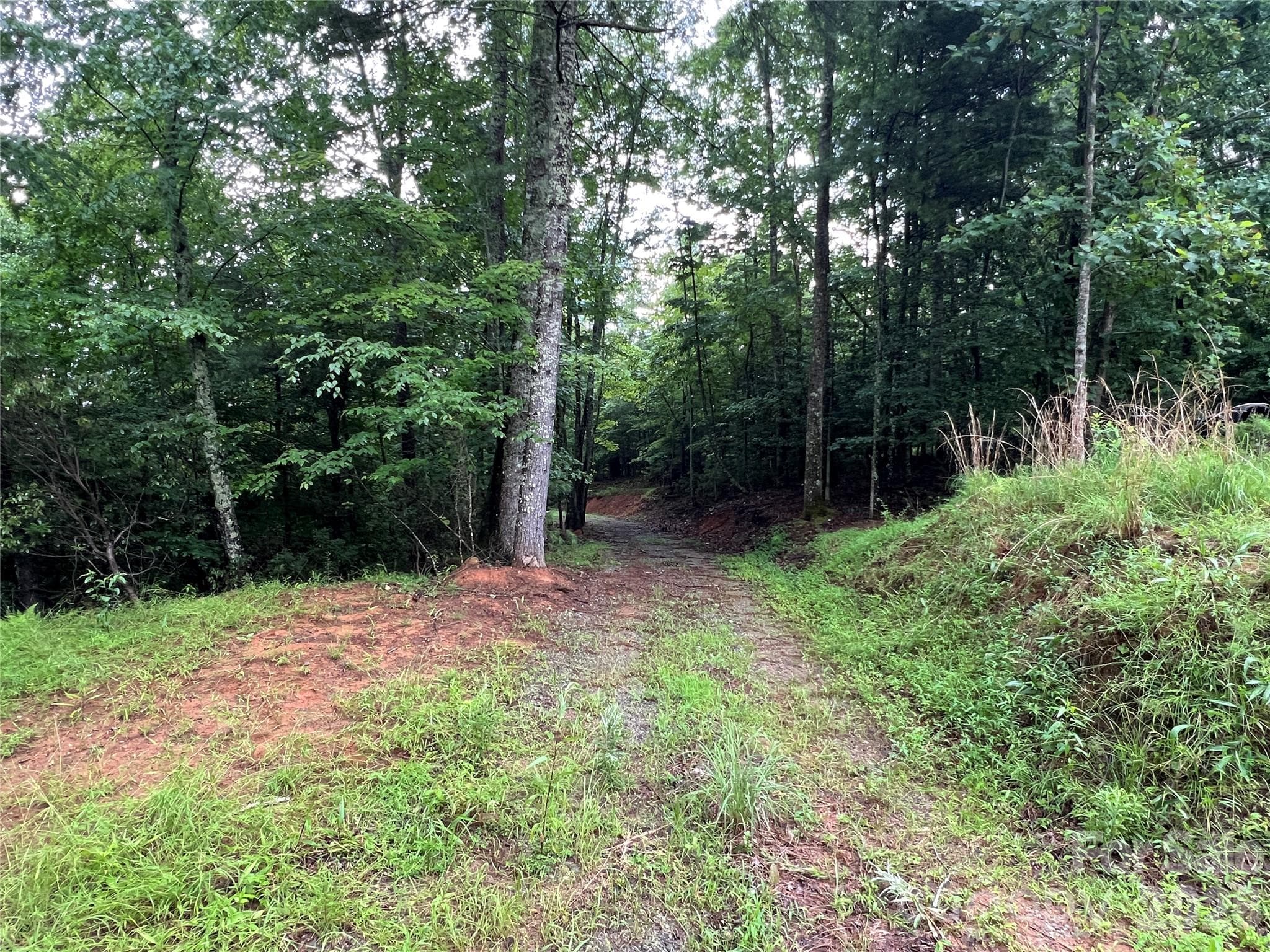 Lot at TBD Staghorn Road, Purlear, photo 20 of 48