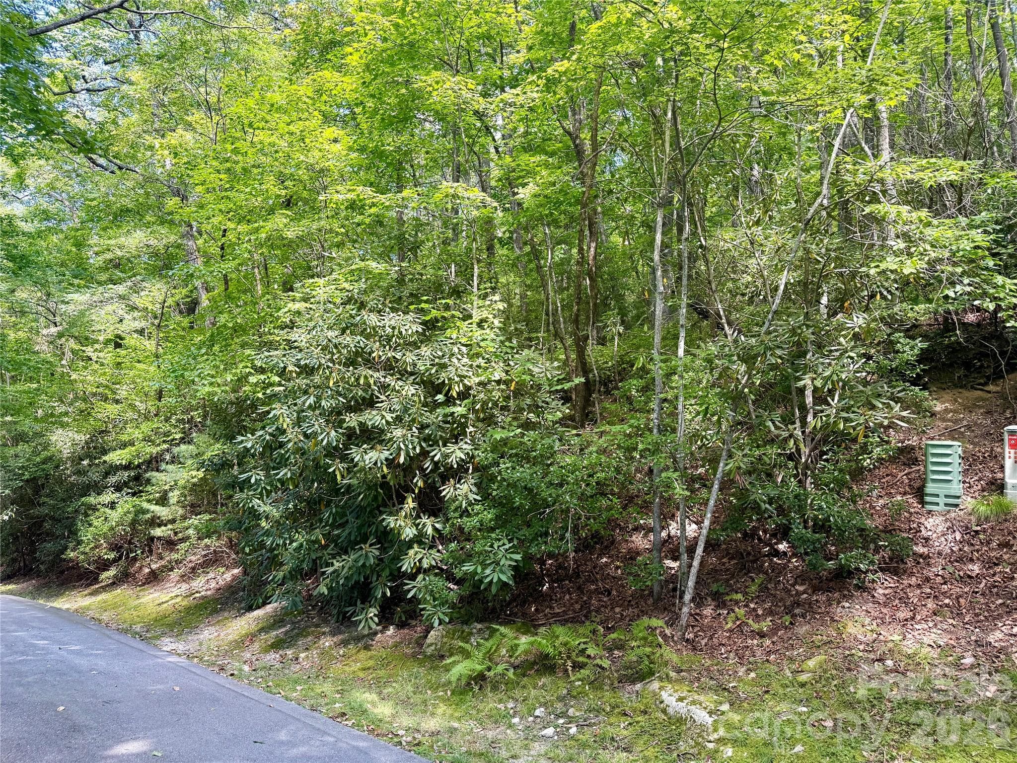 115 Black Oak Drive