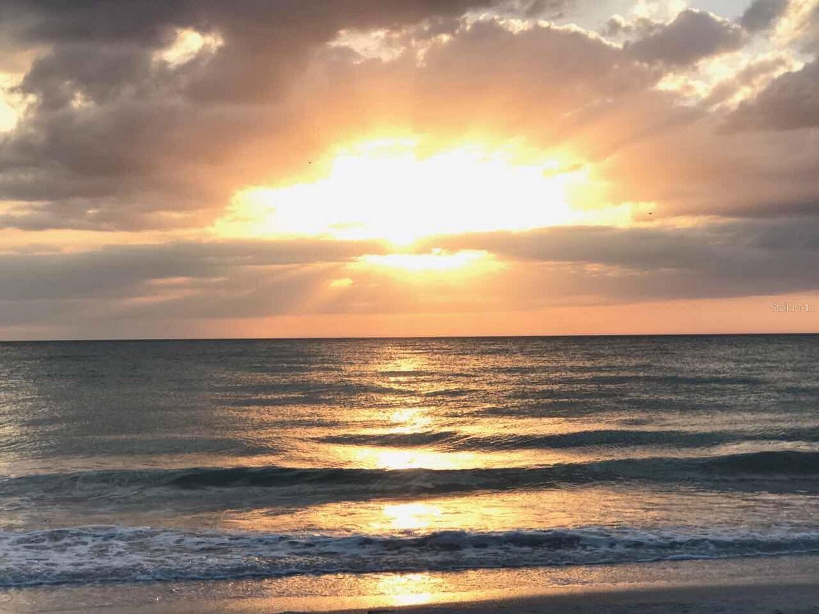 Area Beaches - 100 BLUFF VIEW DR #317A, BELLEAIR BLUFFS