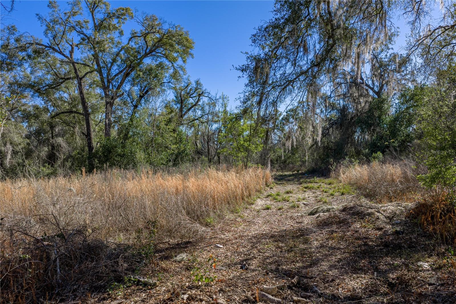 Land at 0 ROWNTREE DR, DADE CITY, photo 12 of 14