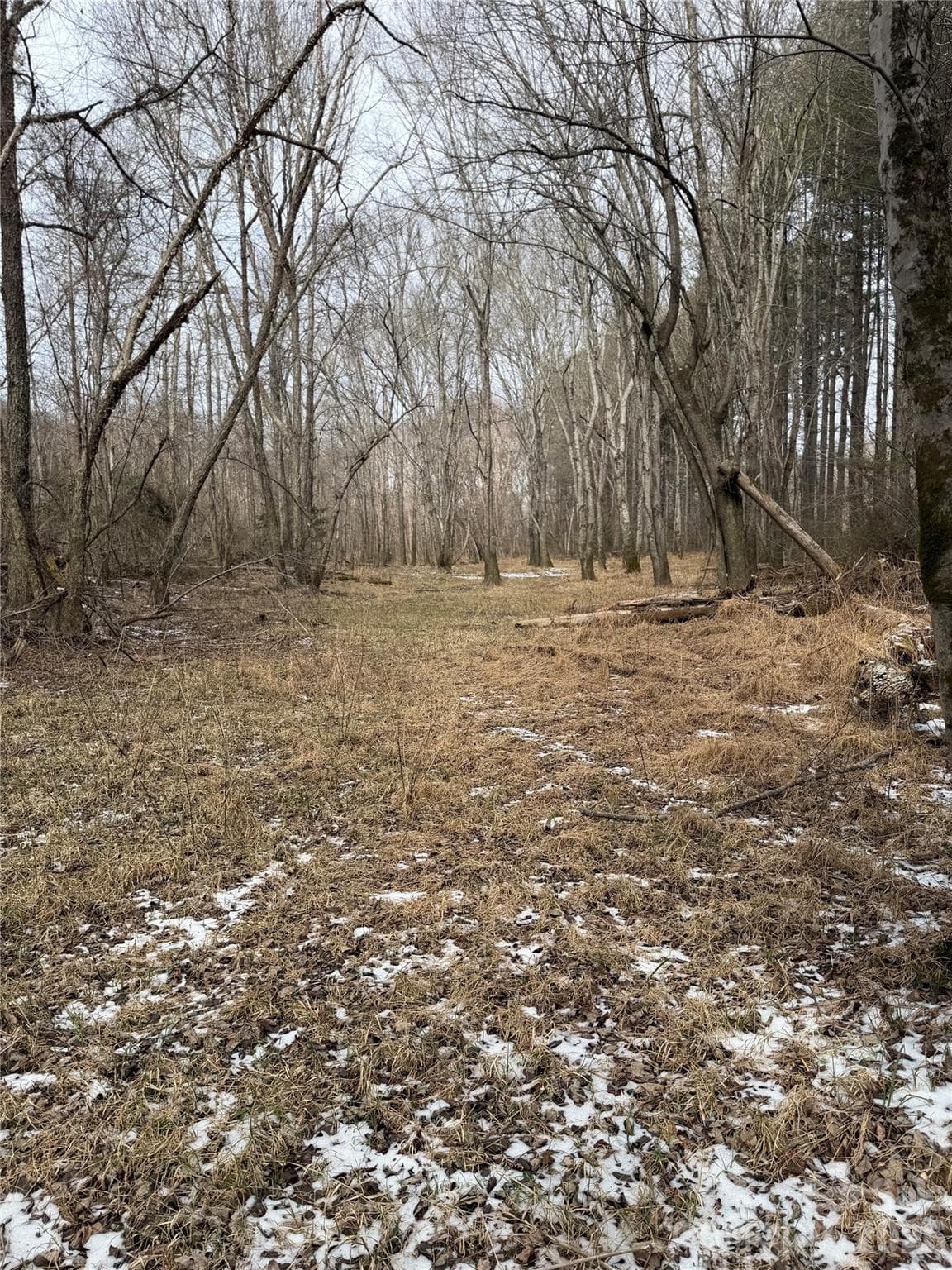 Acreage at 000 Valley Green Drive, Penrose, photo 22 of 27
