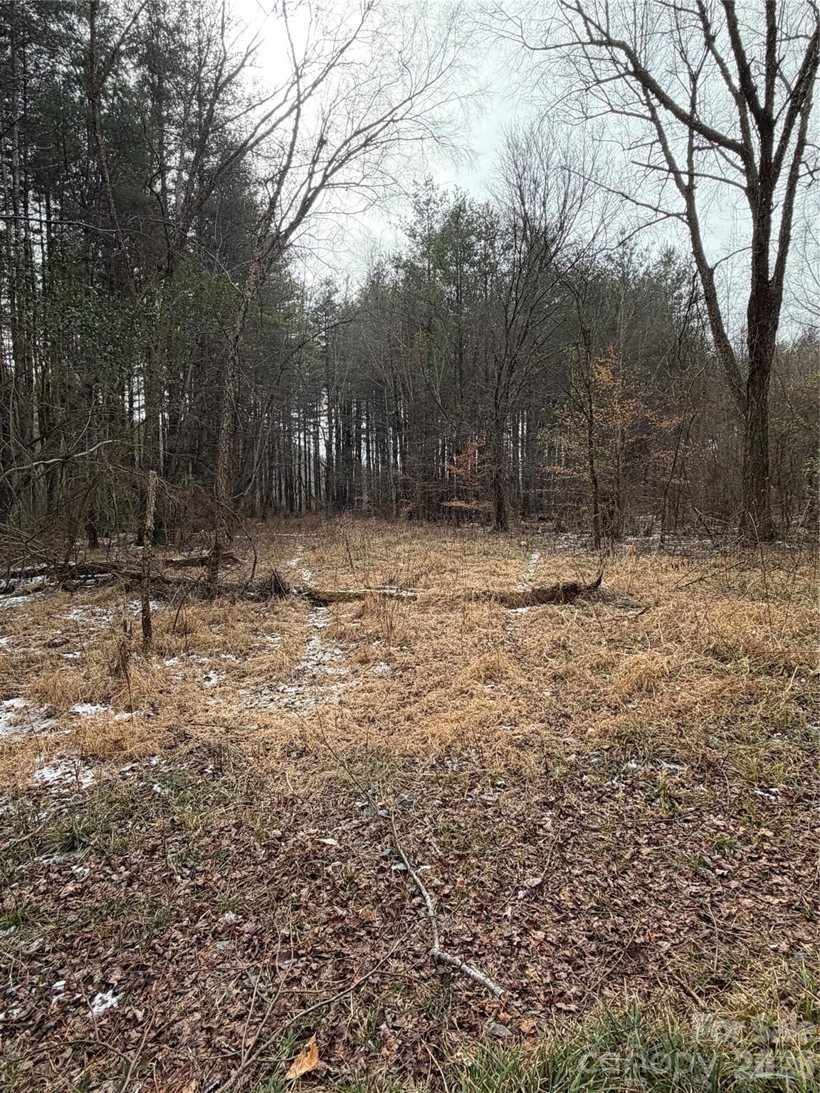Acreage at 000 Valley Green Drive, Penrose, photo 26 of 27