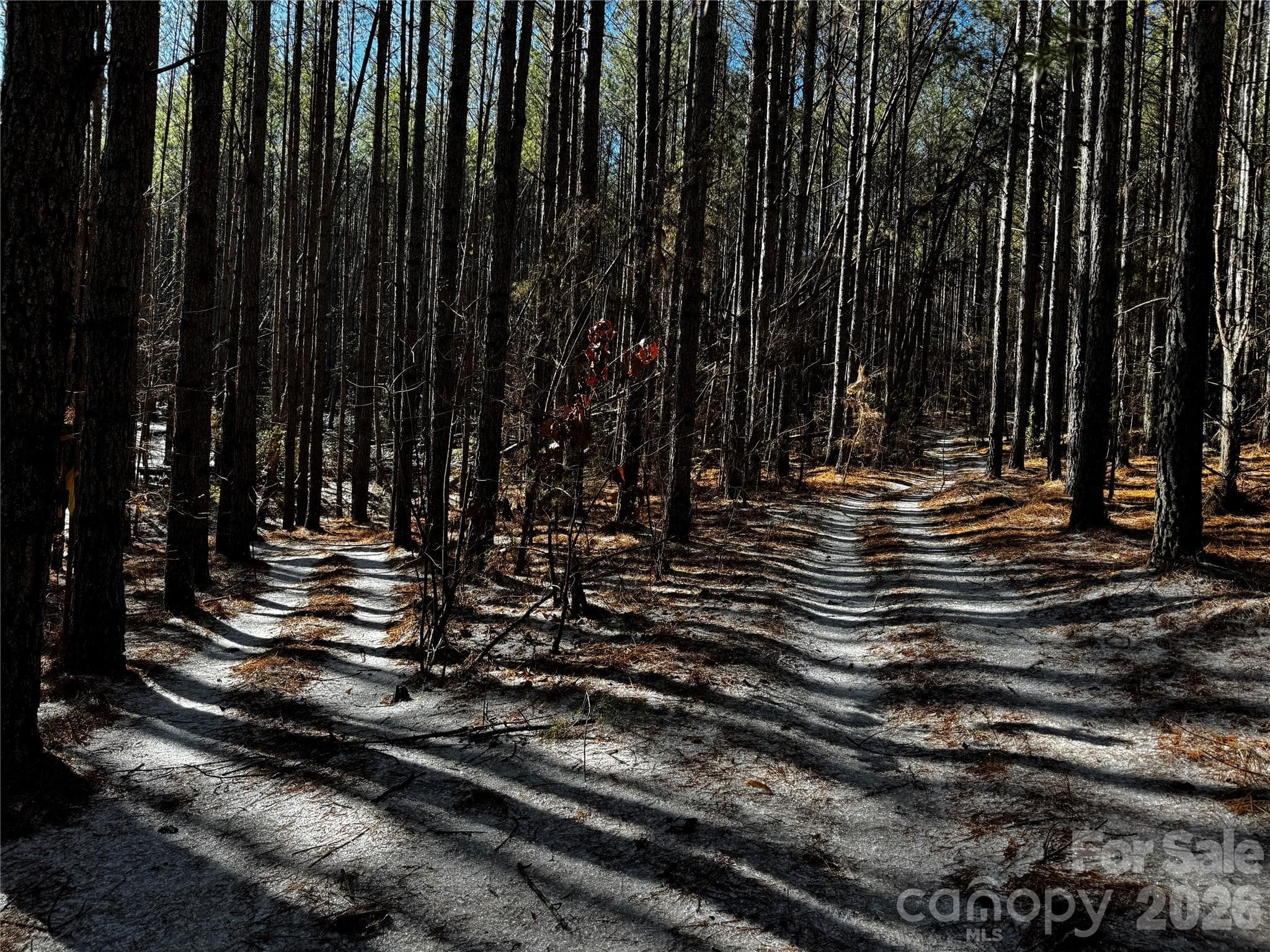 Acreage at 0 Painters Gap Road, Union Mills, photo 15 of 31