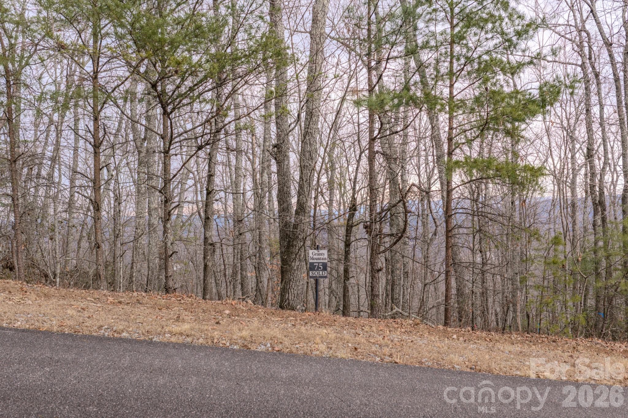 Lot at 2724 Mountain Crest Drive S, Marion, photo 21 of 38
