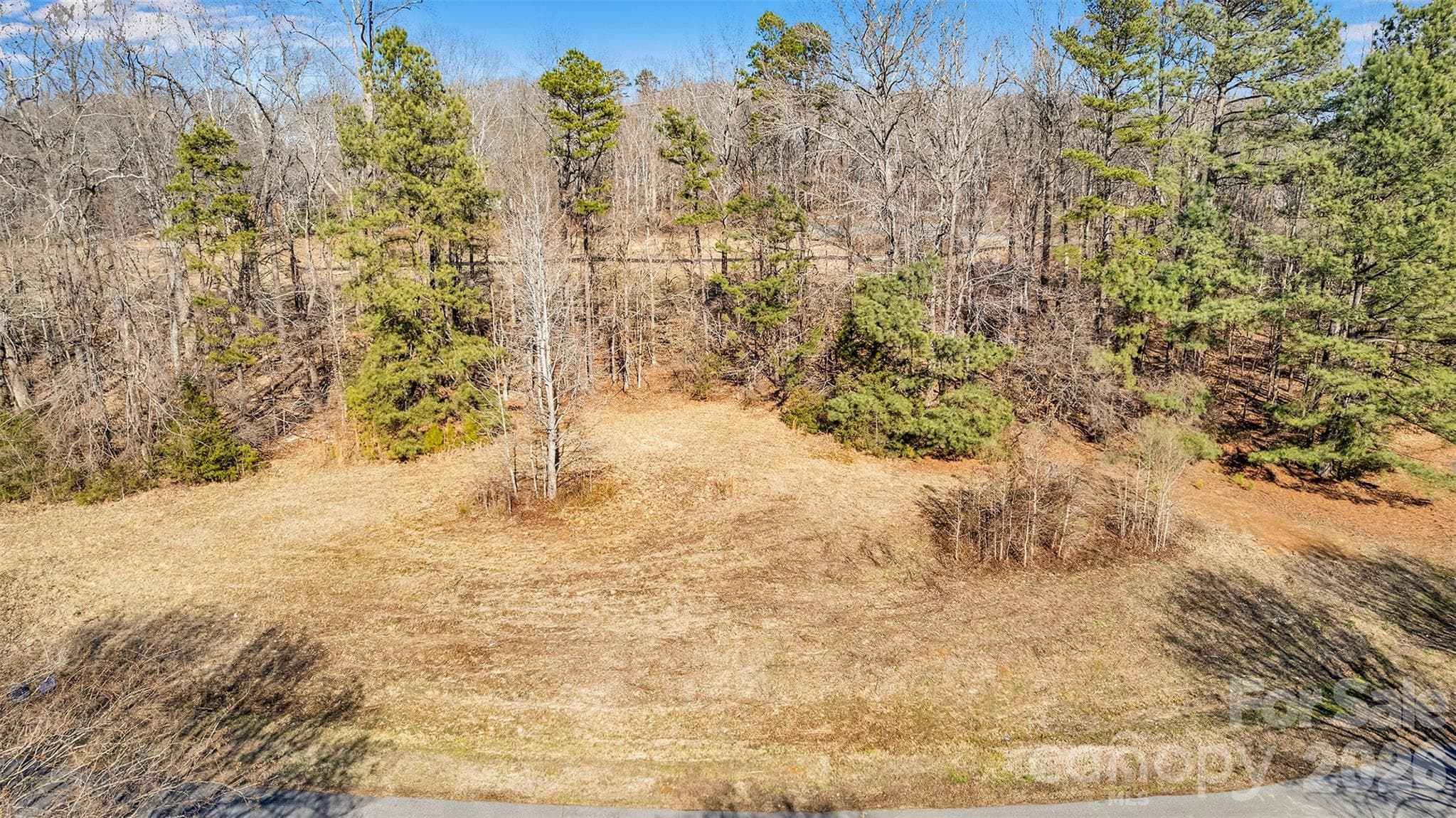 lot 5 view looking at the lot - lot 5 Shoreline Drive, Weddington