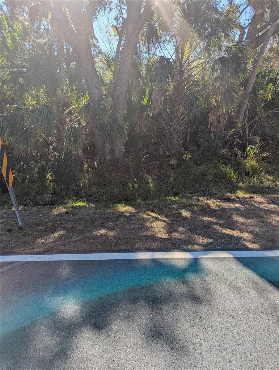 Land at Lots 1,2&3 DE LEON DR, NORTH PORT, photo 8 of 16