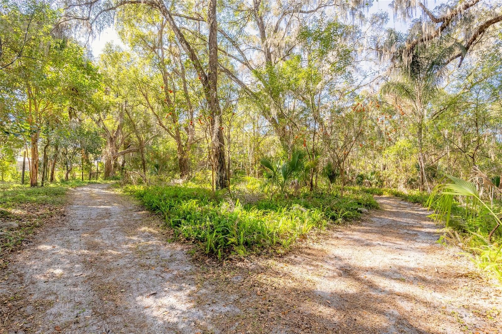 Land at 2095 STONE RD, DELAND, photo 9 of 35