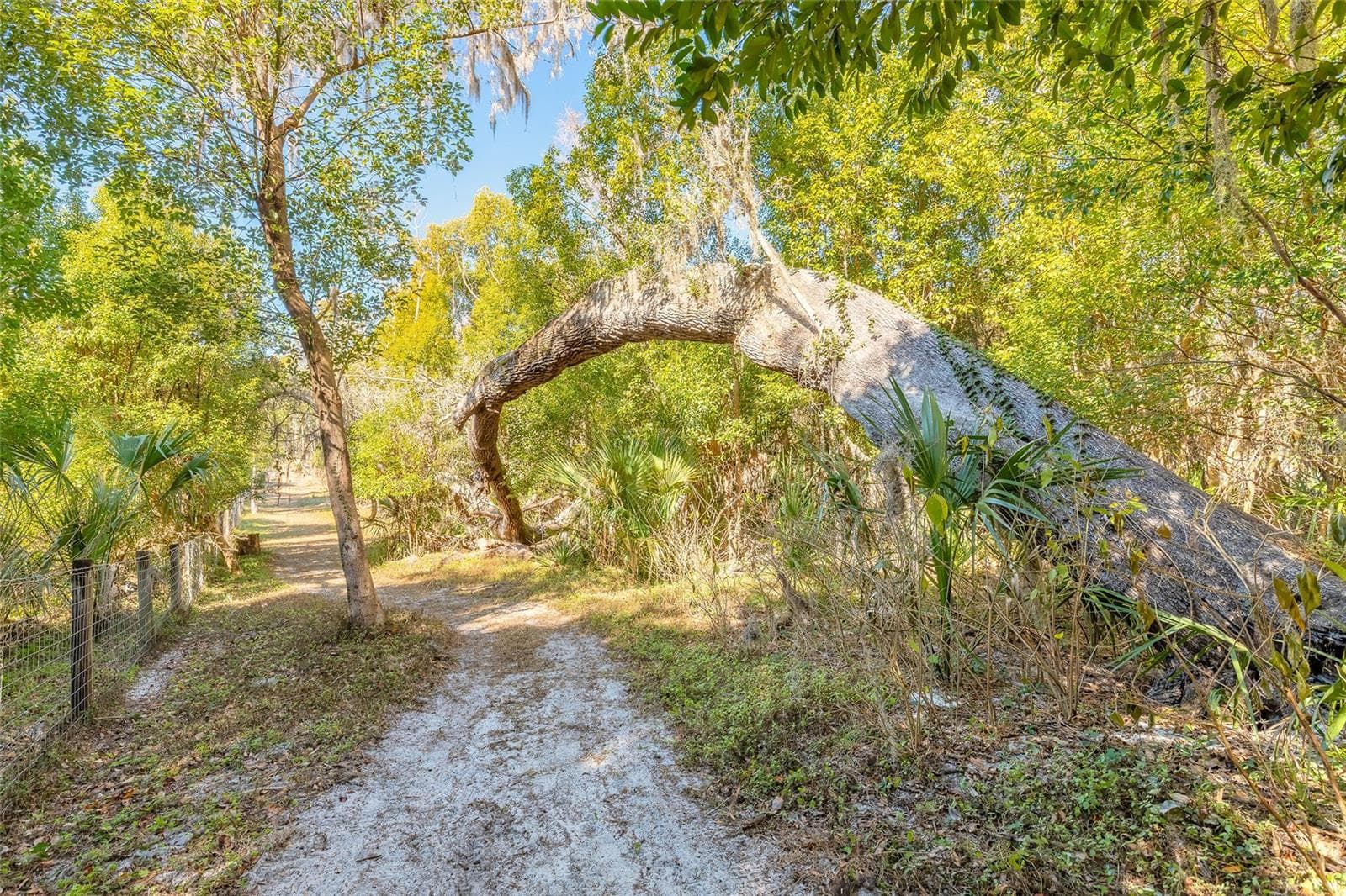 Land at 2095 STONE RD, DELAND, photo 16 of 35